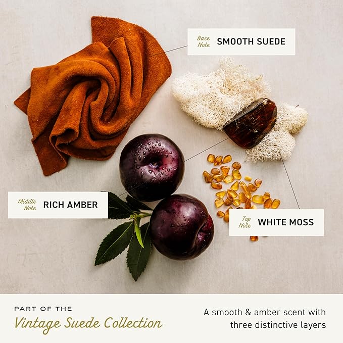 Cremo Cologne for Men - Vintage Suede Mens Cologne Spray- A Combination of White Moss, Rich Amber, and Smooth Suede, Fragrances For Men, 3.4 Fl Oz