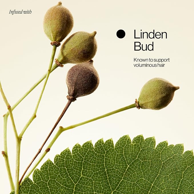 Eva NYC Lift Off Volumizing Conditioner, 10 fl oz